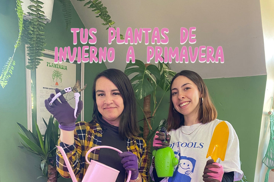 Tus plantas del Invierno a la Primavera
