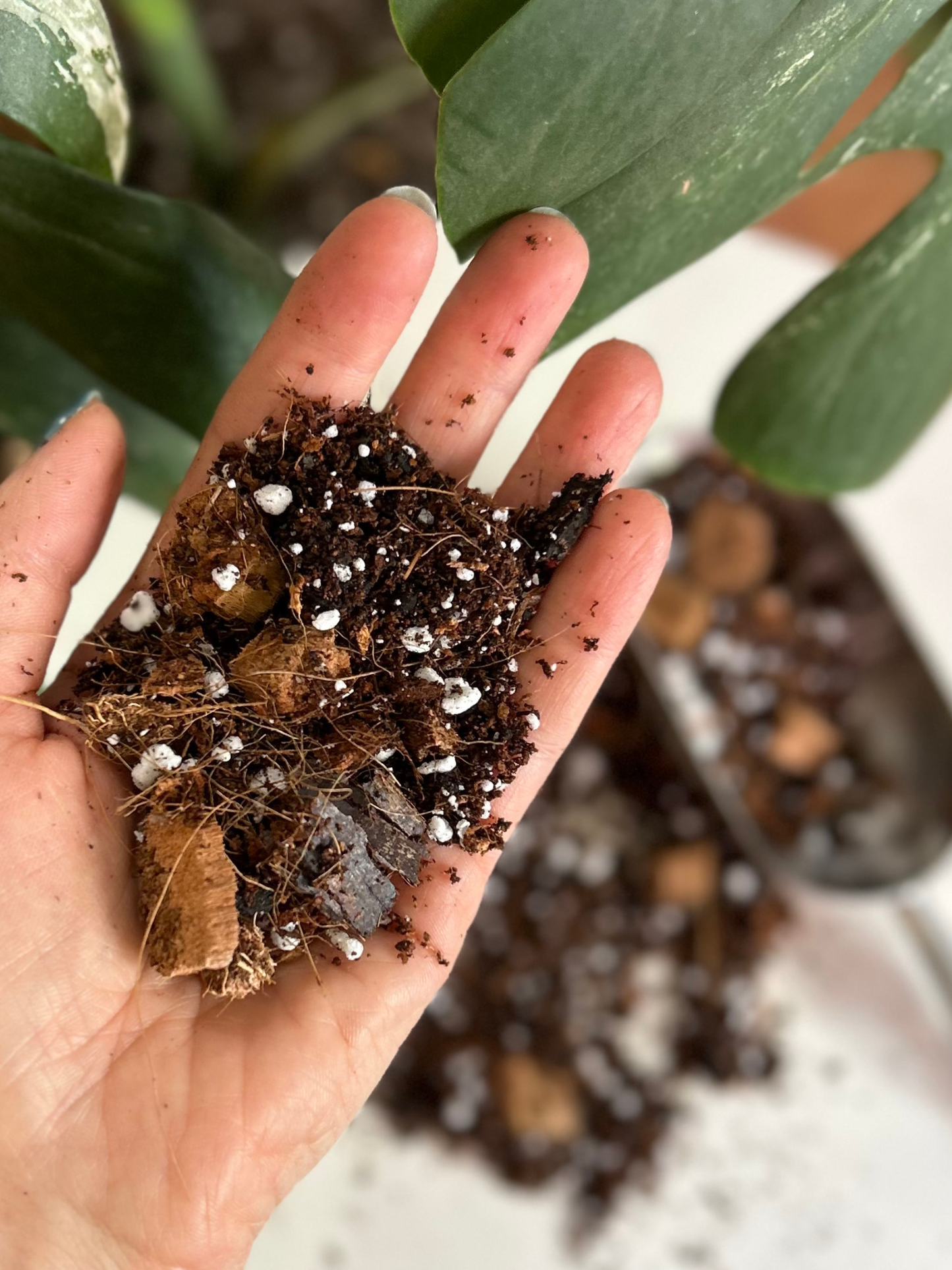 Sustrato Aireación 3 lts