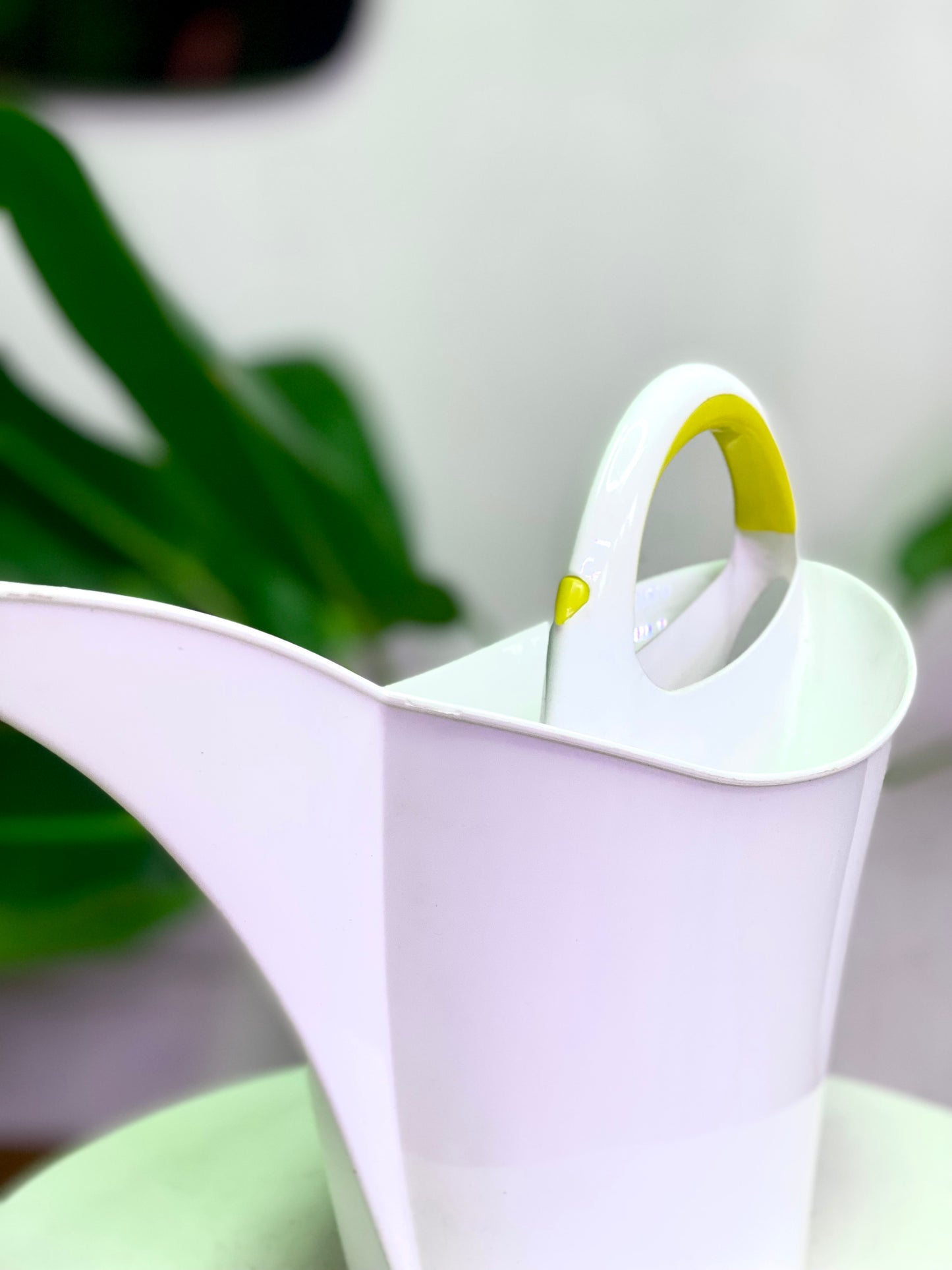 Regadera plástica 2 lts.