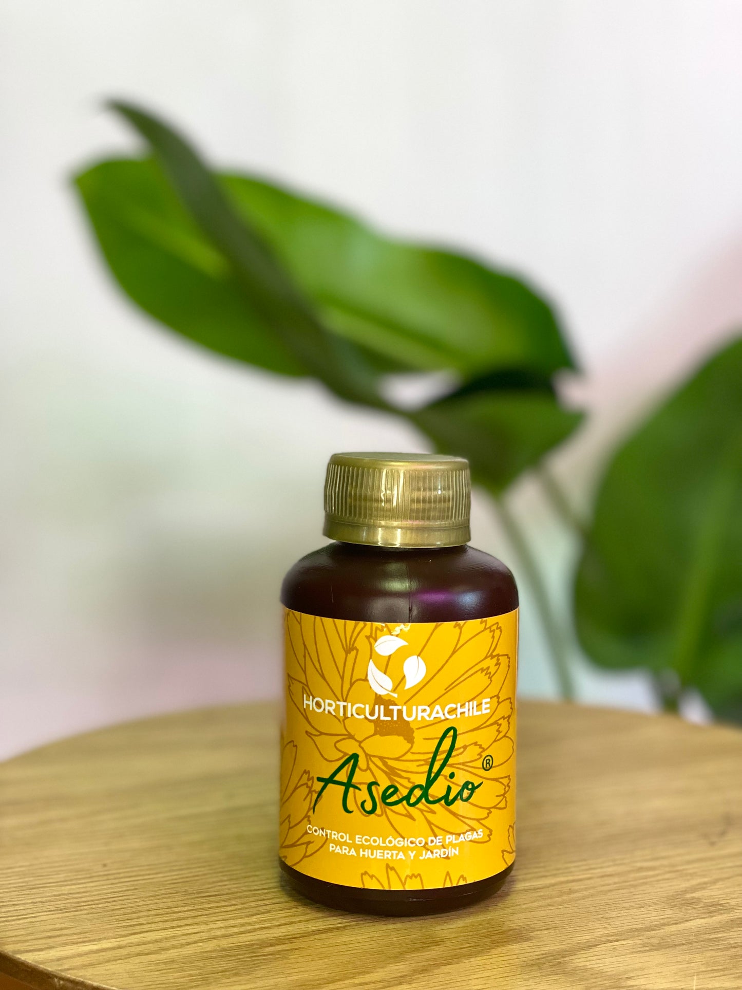 Asedio 280 ml