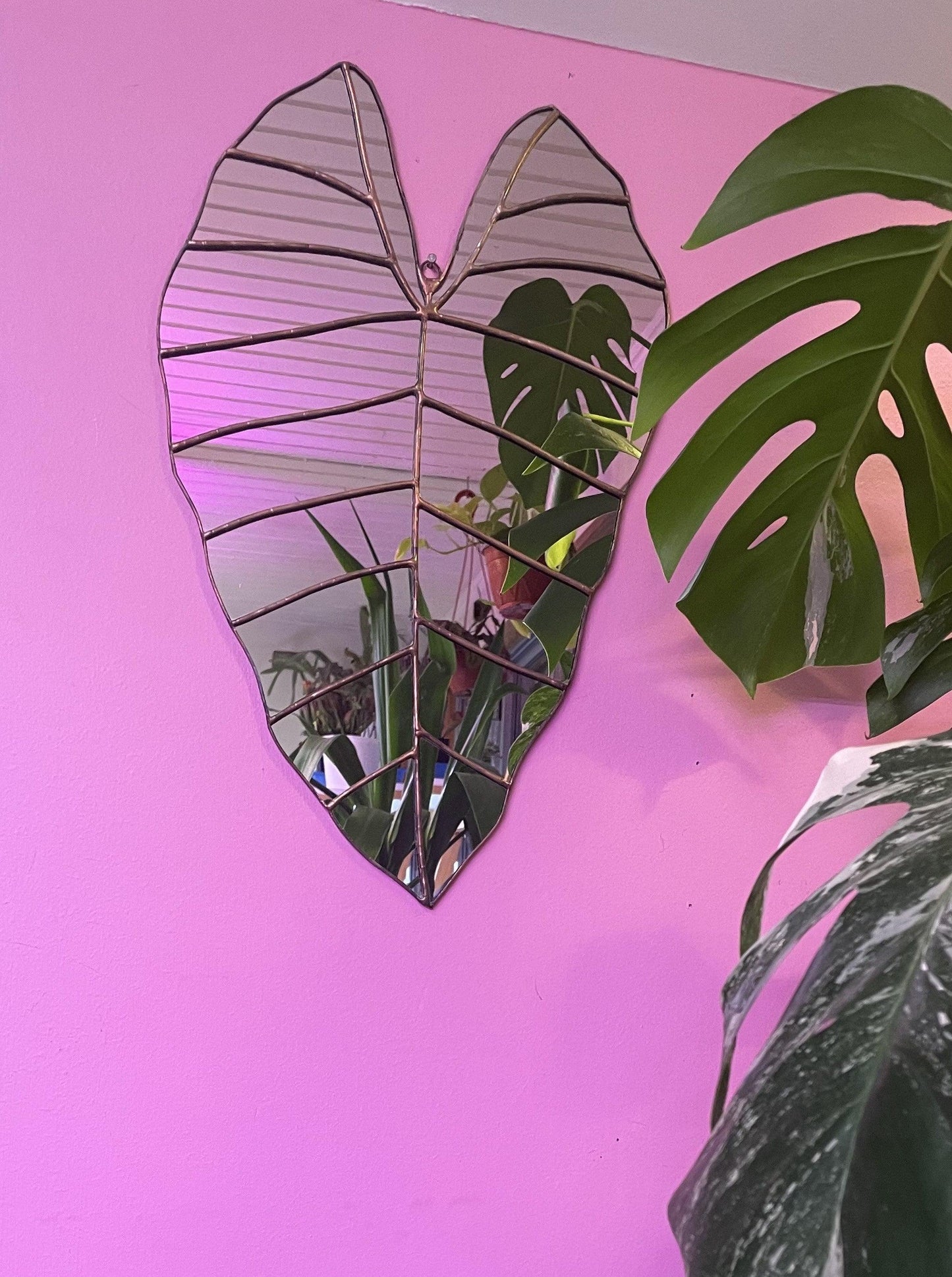 Espejo De Hoja De Alocasia Macrorrhiza M