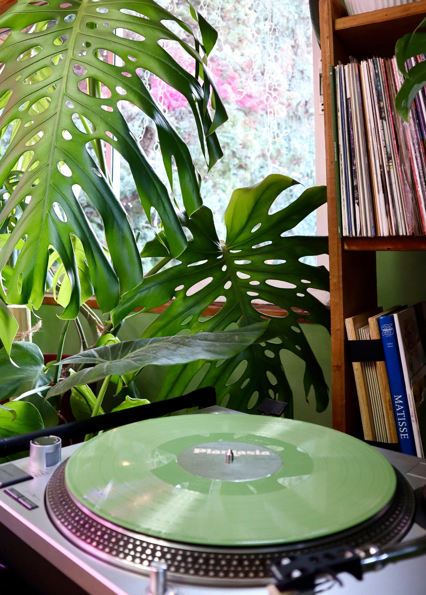 Vinilo Mother's Earth Plantasia - Mort Garson (1976)