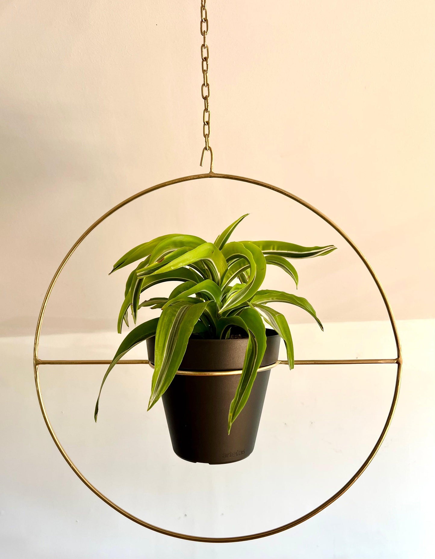 Porta macetas colgante para plantas modelo Francisca