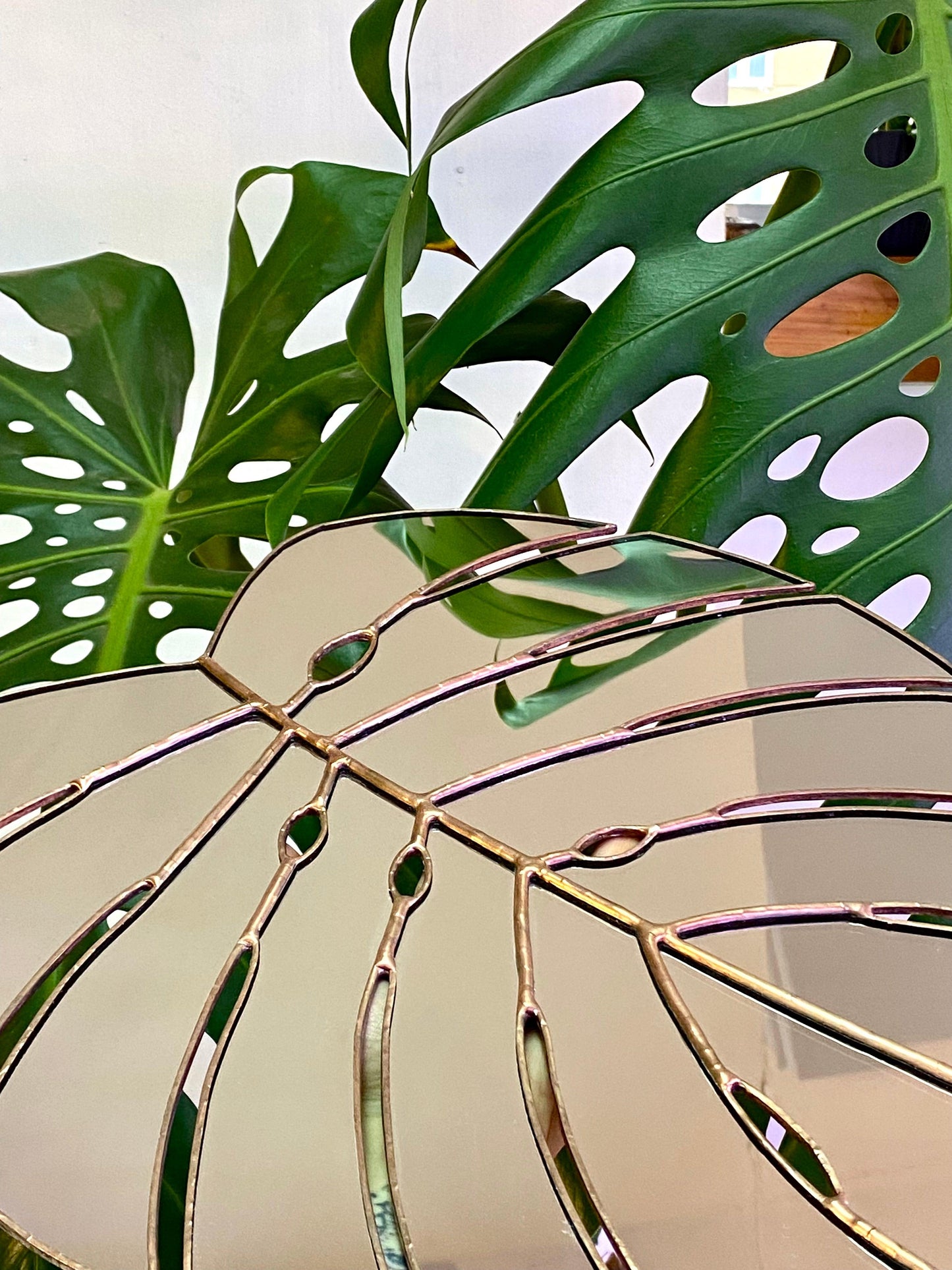 Espejo De Hoja De Monstera Deliciosa M