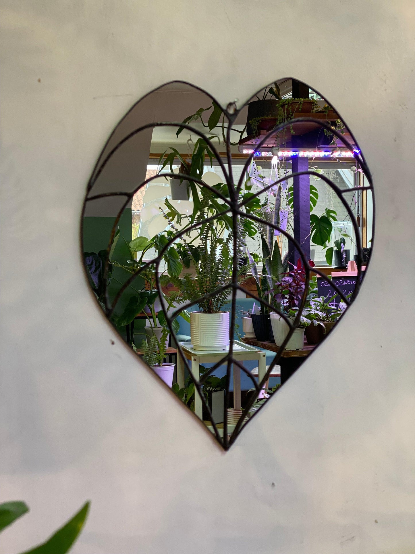 Espejo De Hoja De Anthurium Clarinervium