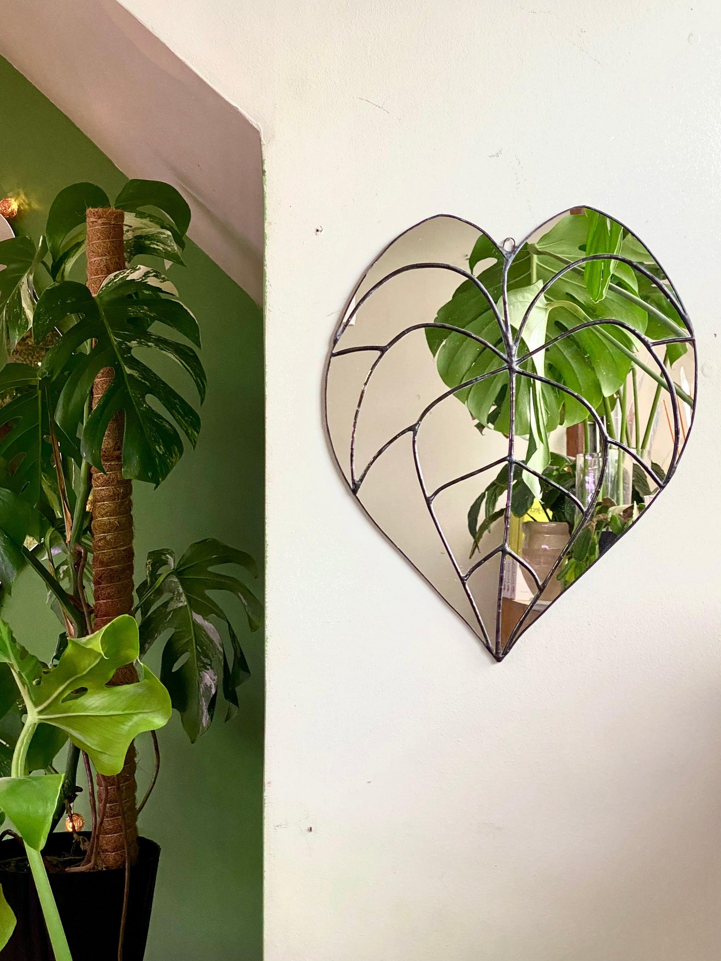 Espejo De Hoja De Anthurium Clarinervium M