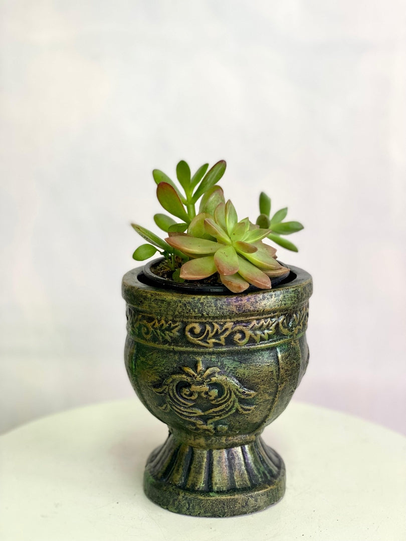 Maceta de concreto Copa 15x13 cms