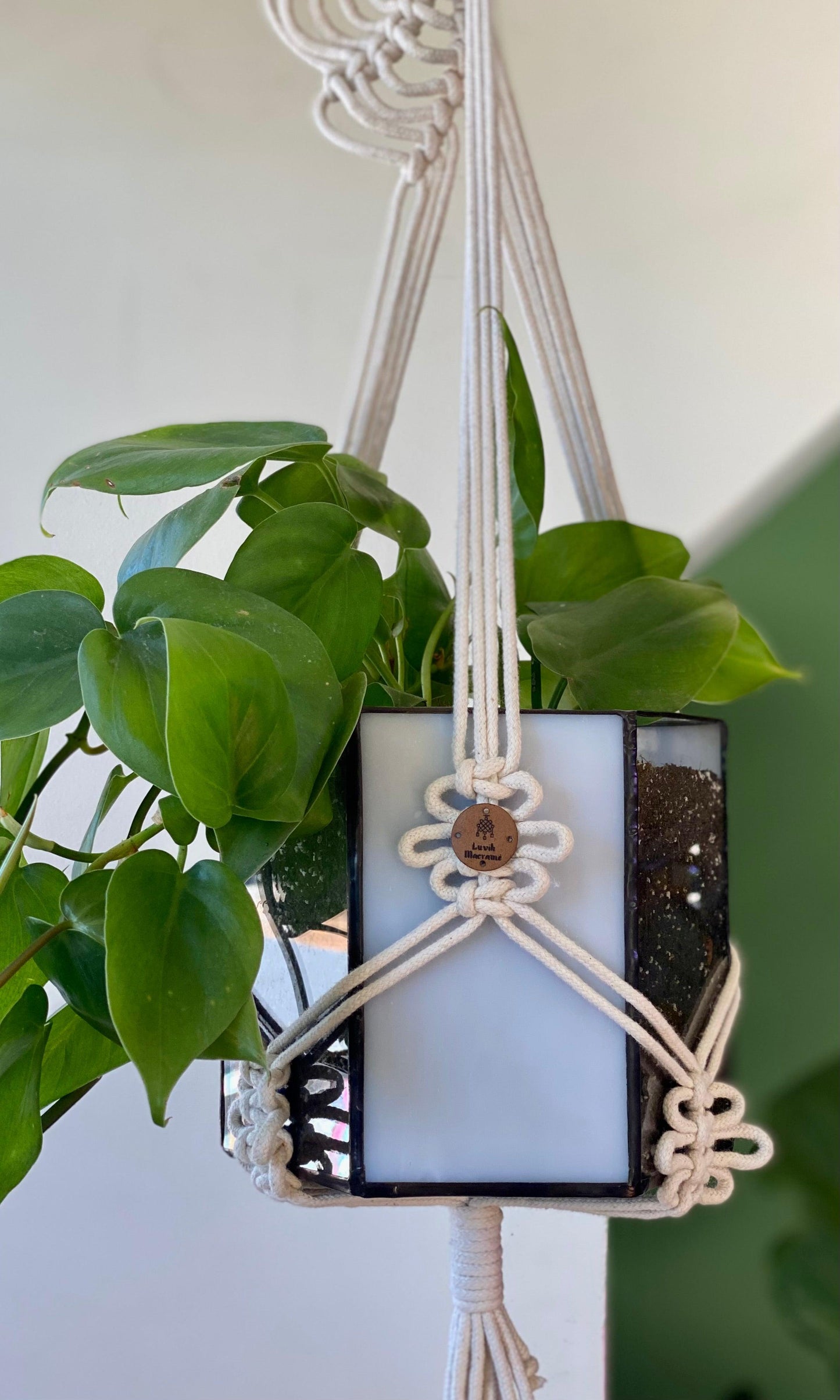 Cuelga De Macramé Para Plantas Modelo Rapunzel