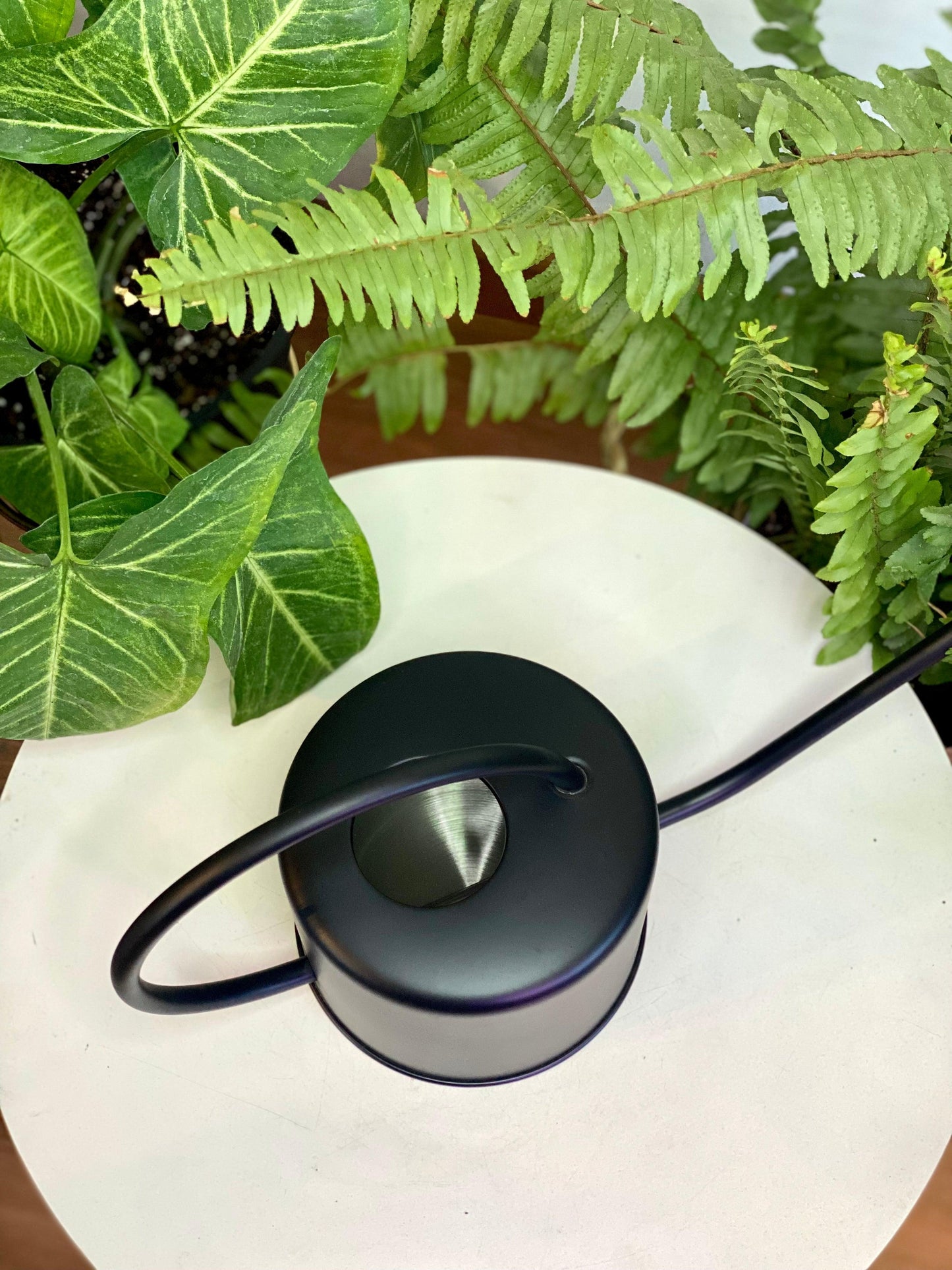 Regadera negra acero inoxidable 1lt.