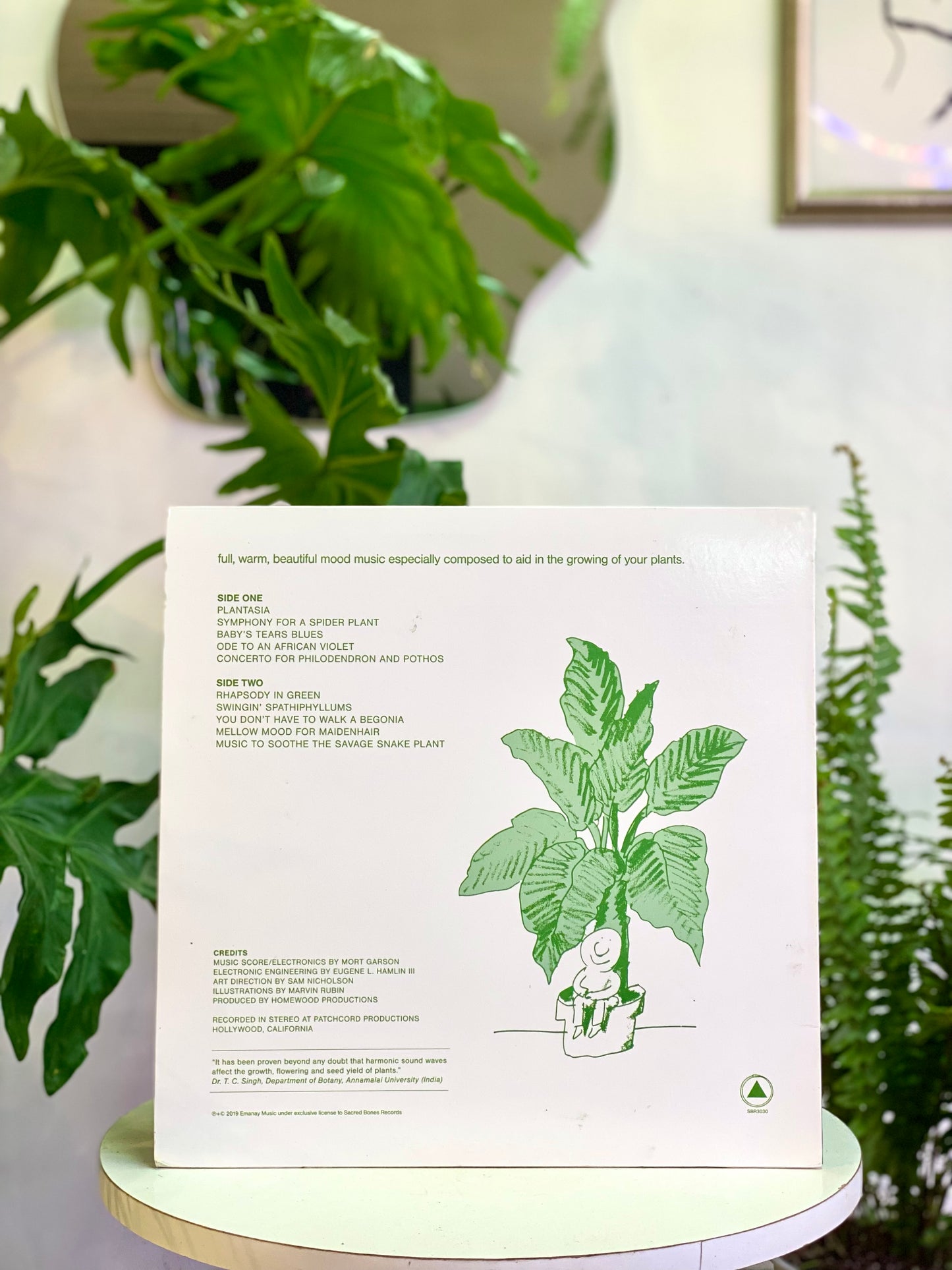 Vinilo Mother's Earth Plantasia - Mort Garson (1976)