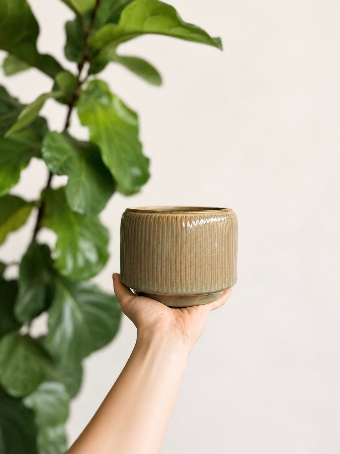 Maceta de cerámica geométrico para plantas de interior y decoración botánica