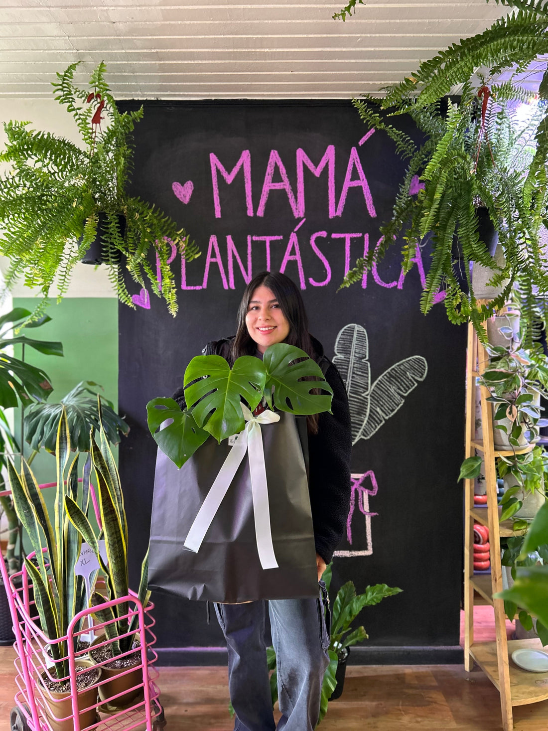 Monstera: La favorita de nuestra tienda
