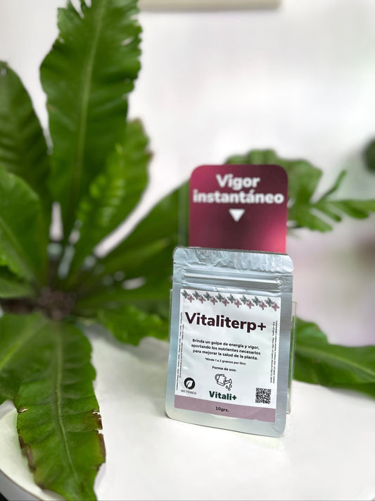Vitaliterp+