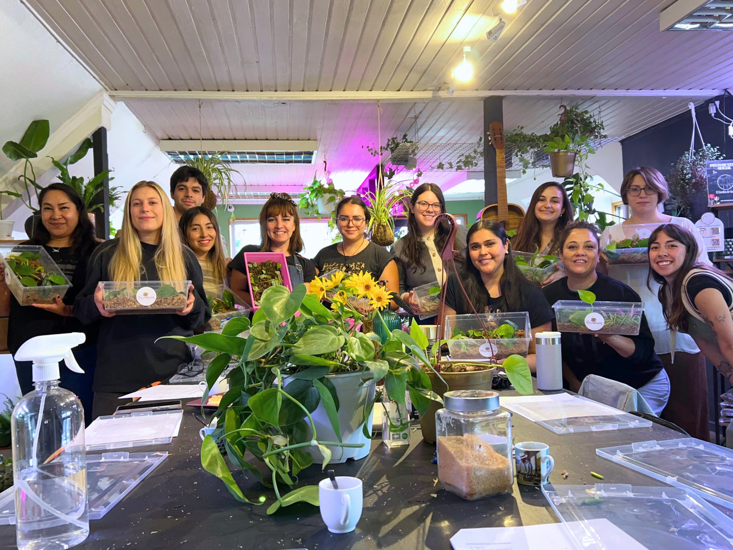 Taller de propagación de plantas 🪴