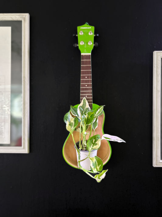 Potus Pearl & Jade S