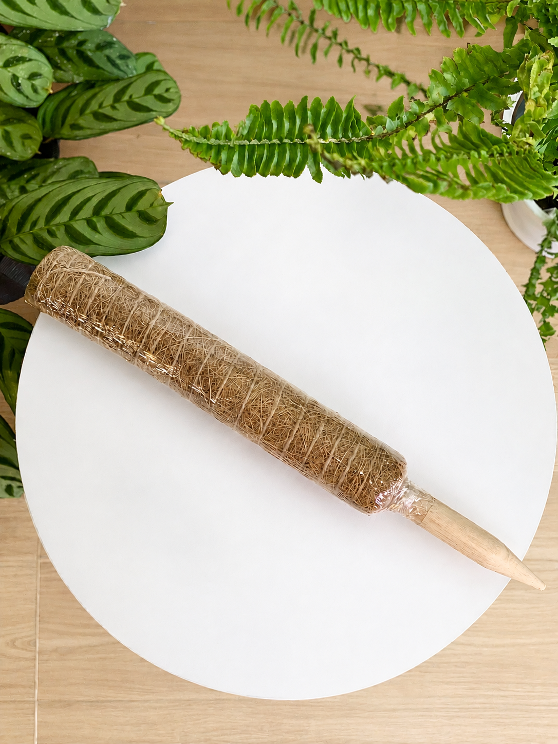 Tutores de fibra de coco