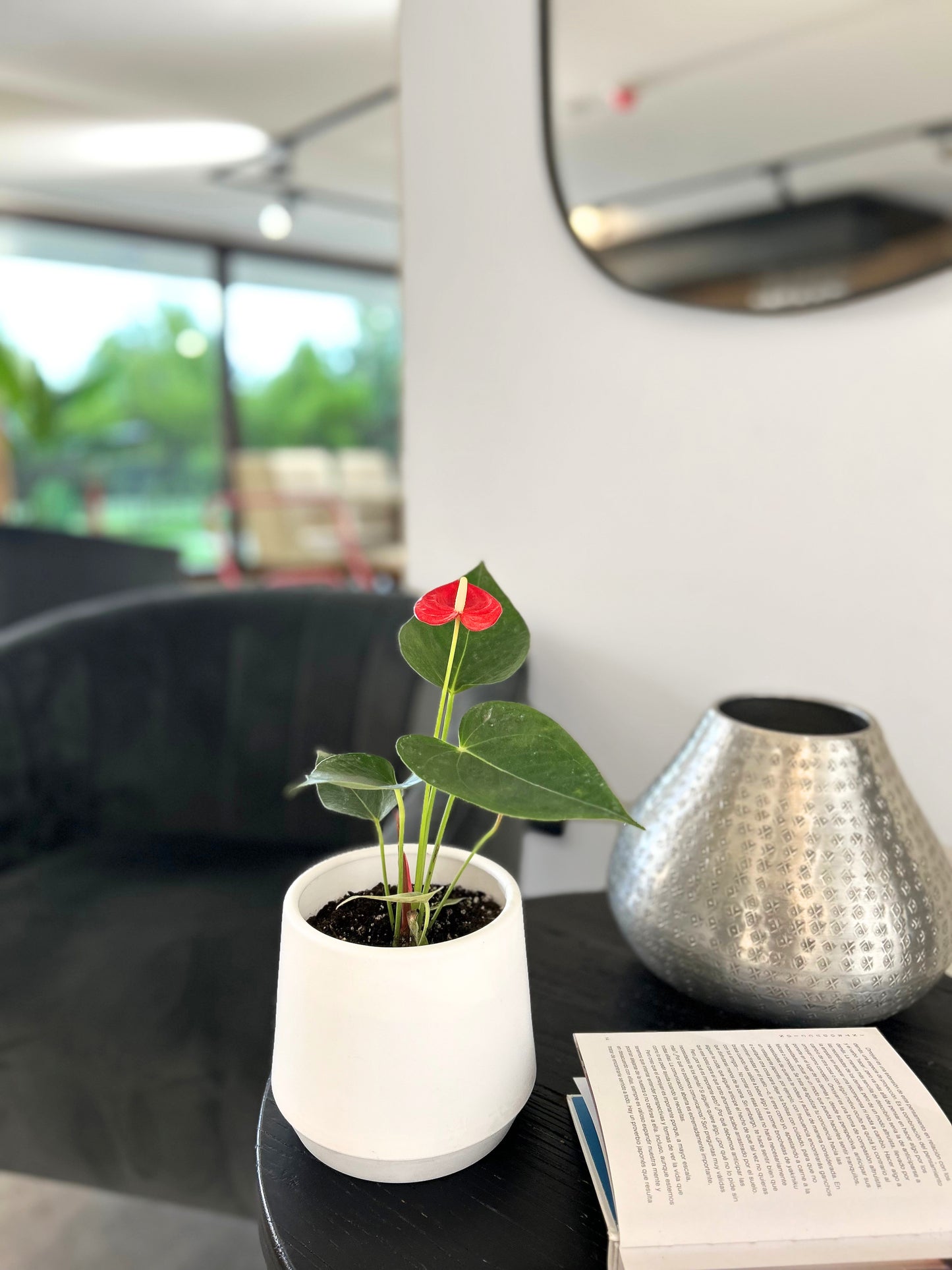Anturio rojo en macetero decorativo planta de interior