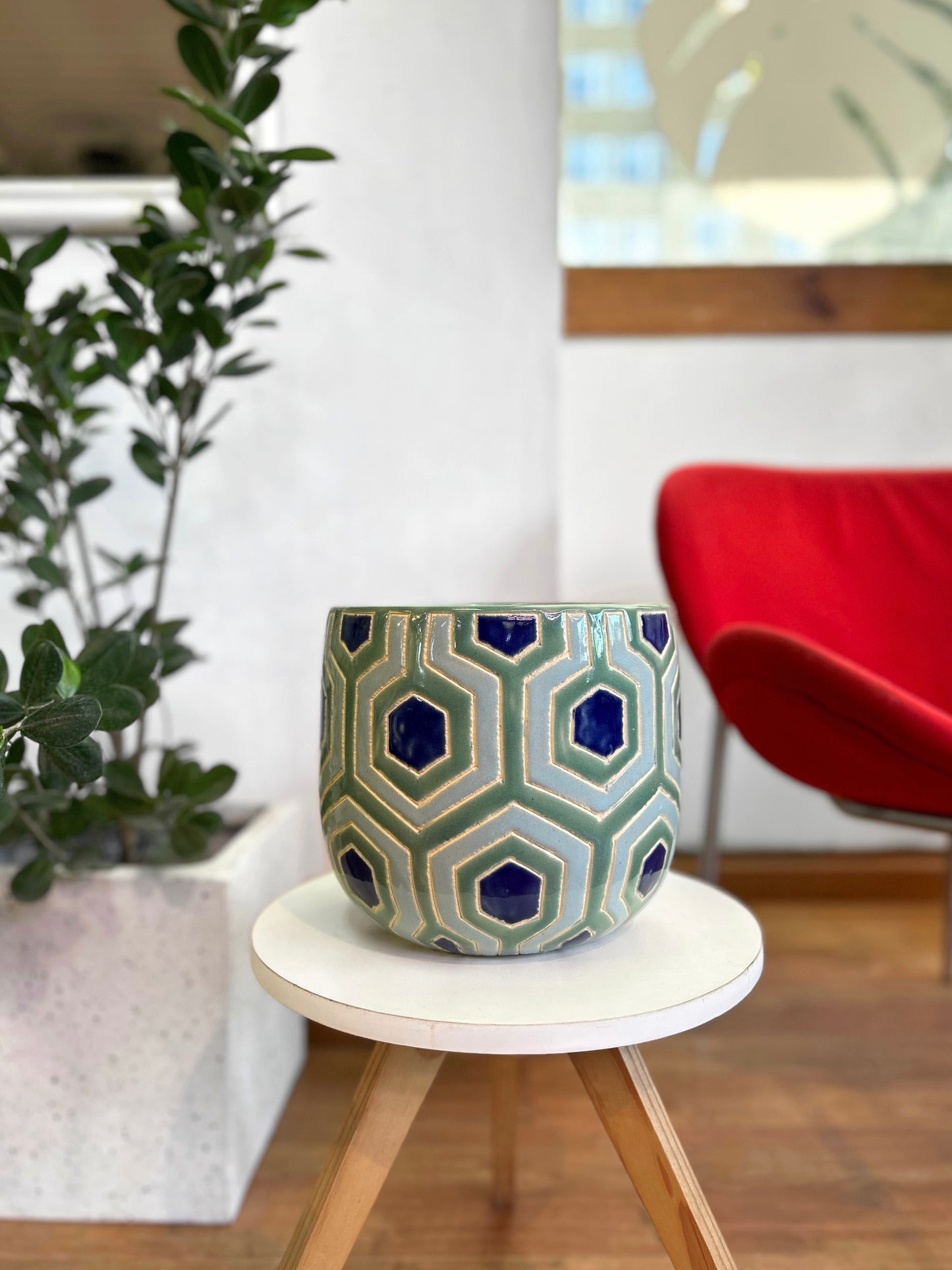 Maceta ceramica plantas