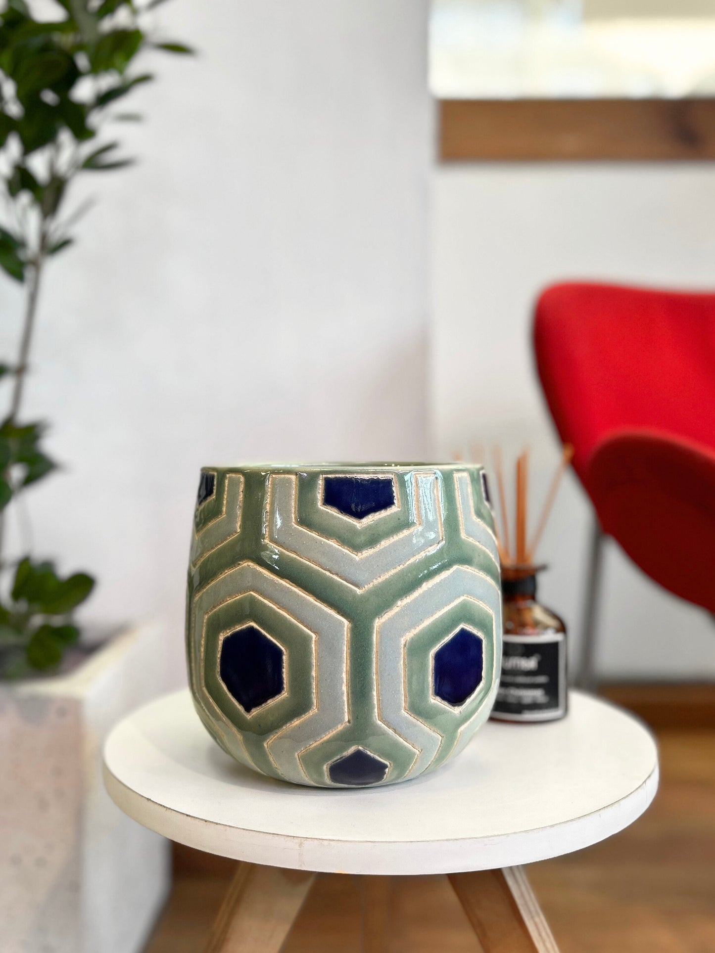 Maceta ceramica plantas