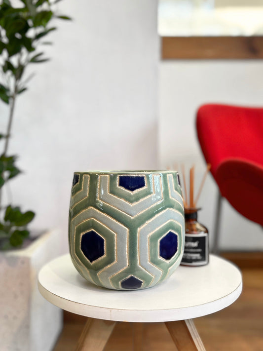 Maceta ceramica plantas