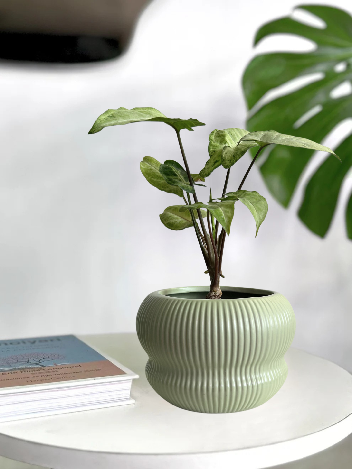 Macetero ceramica capas verde 15x10 cm