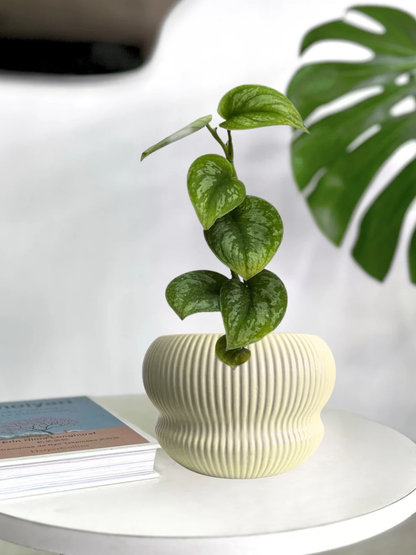 Macetero ceramica capas amarillo 15x10 cm