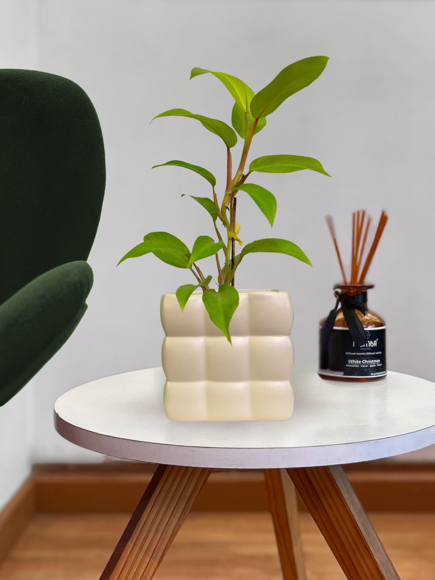 Macetero cerámica cuadros crema 14x12cm