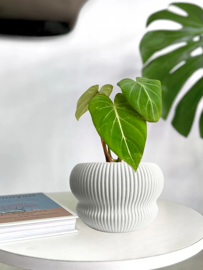 Macetero ceramica capas blanco 15x10 cm