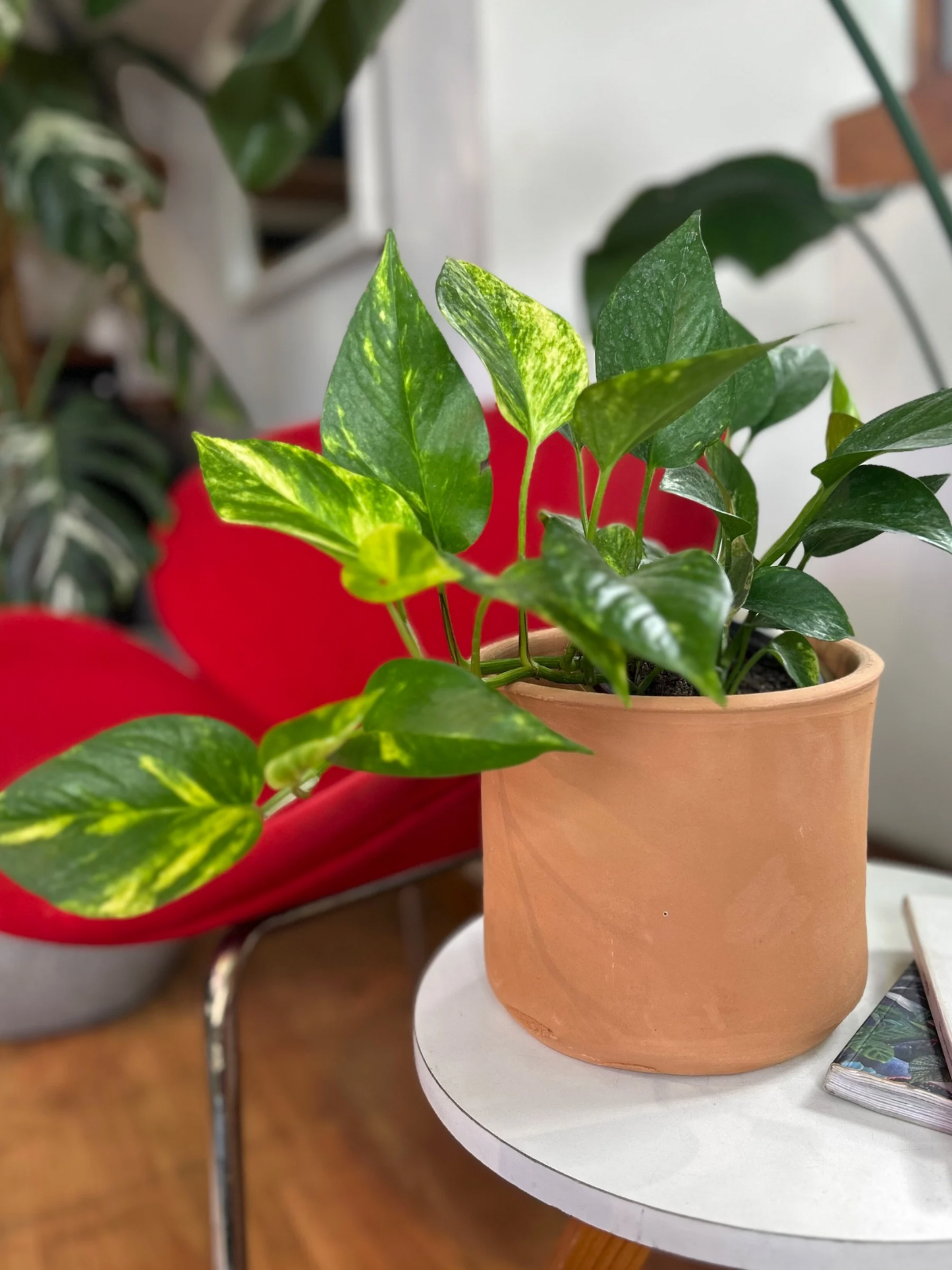 Macetero de greda natural 18x17 cm