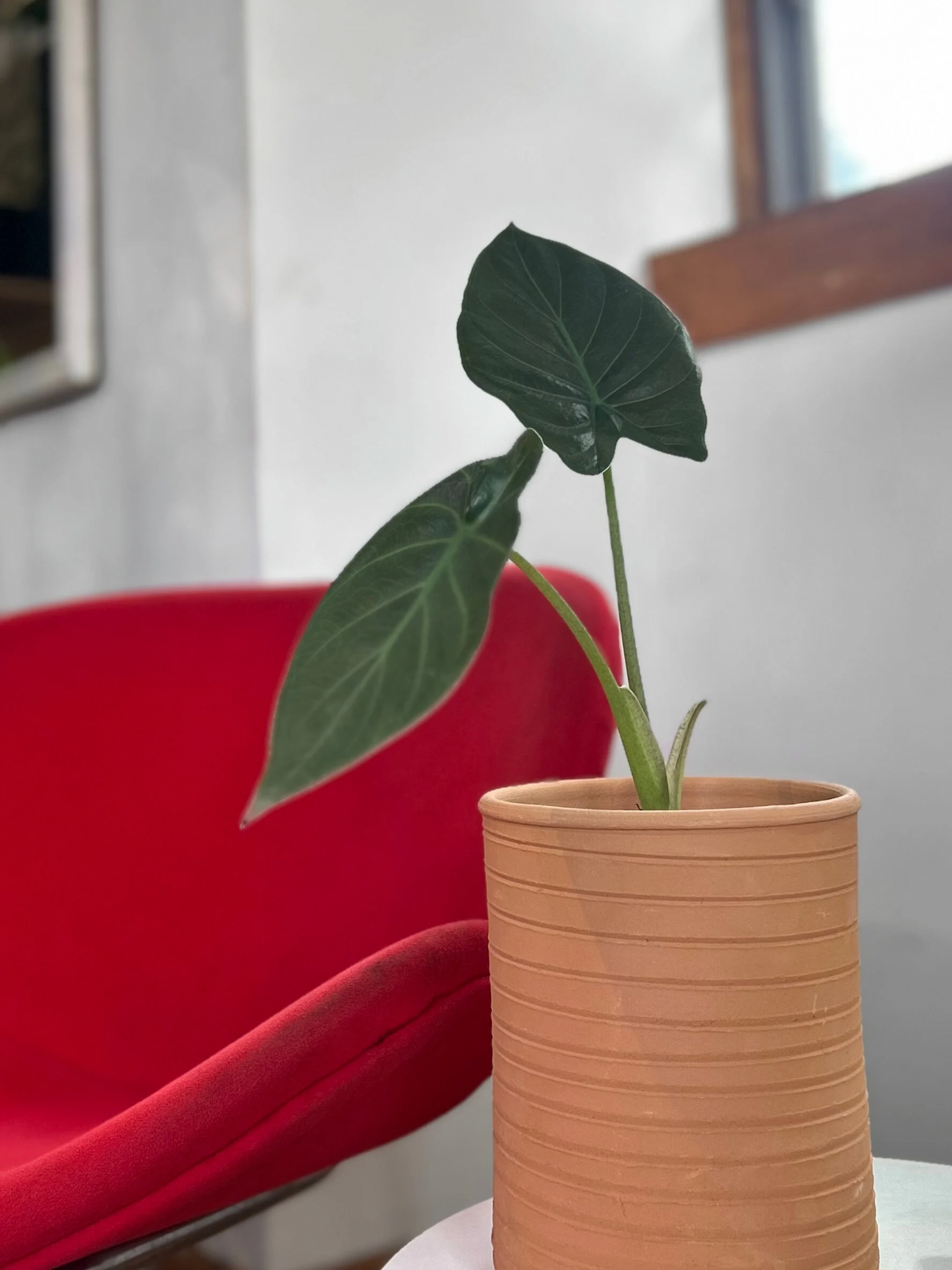 Macetero de greda natural 18X19 cm