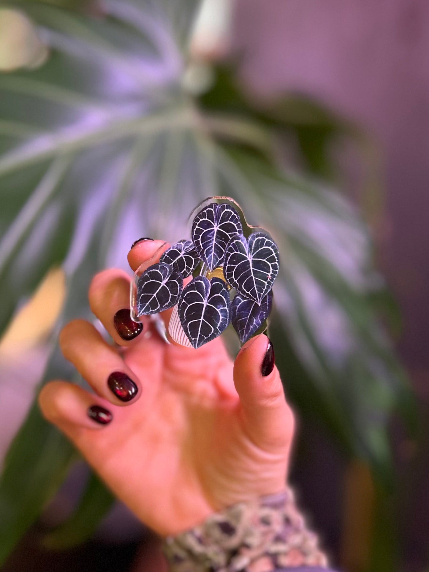 Imán plantero 5x6 cm