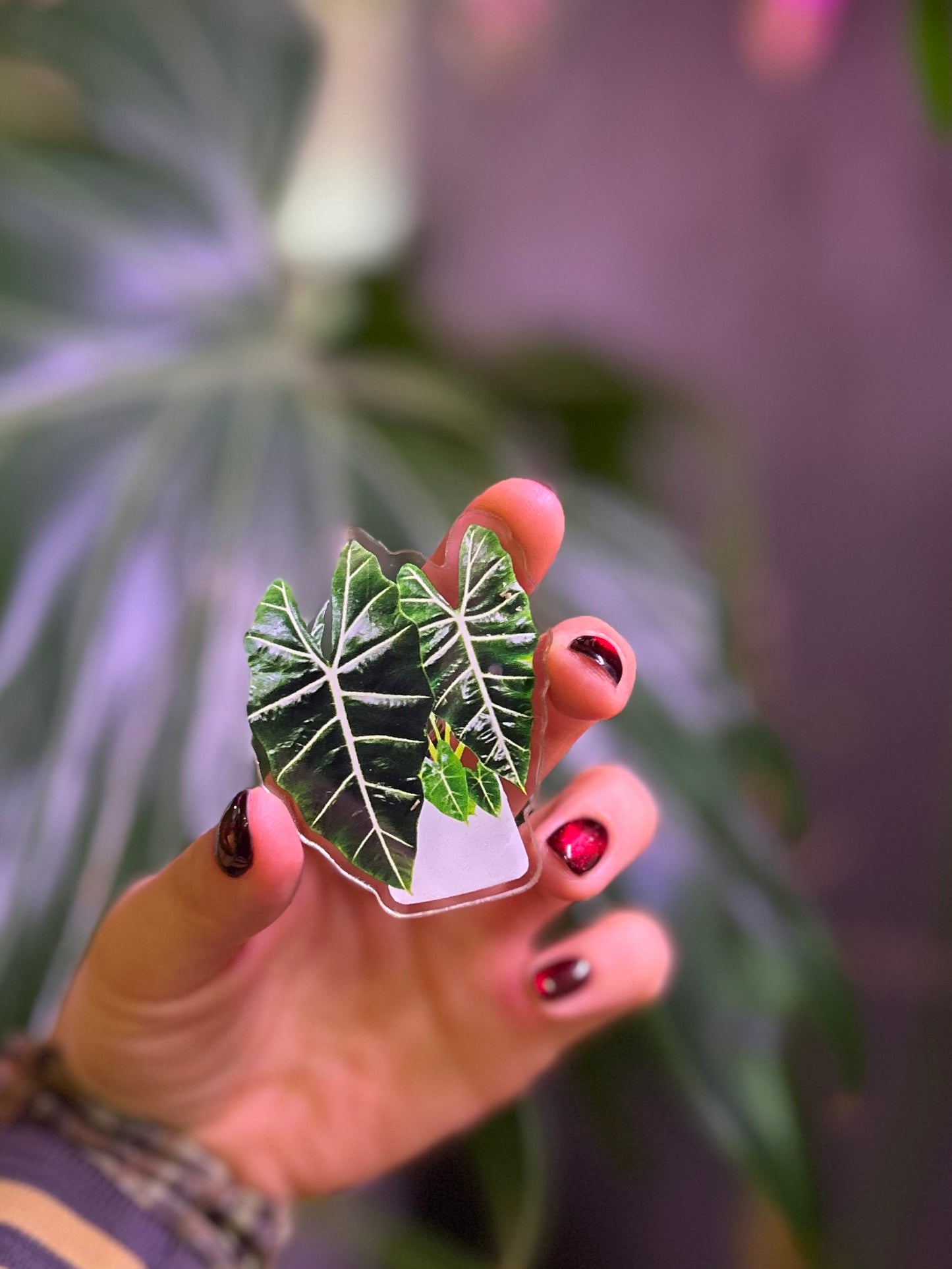 Imán plantero 5x6 cm