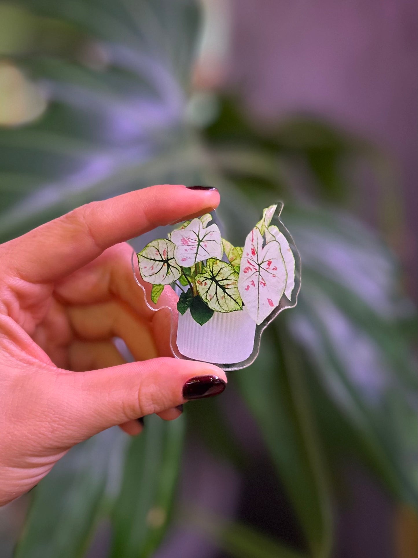 Imán plantero 5x6 cm