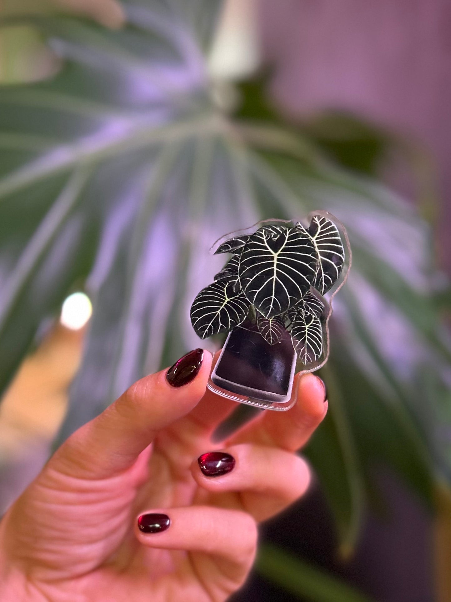 Imán plantero 5x6 cm