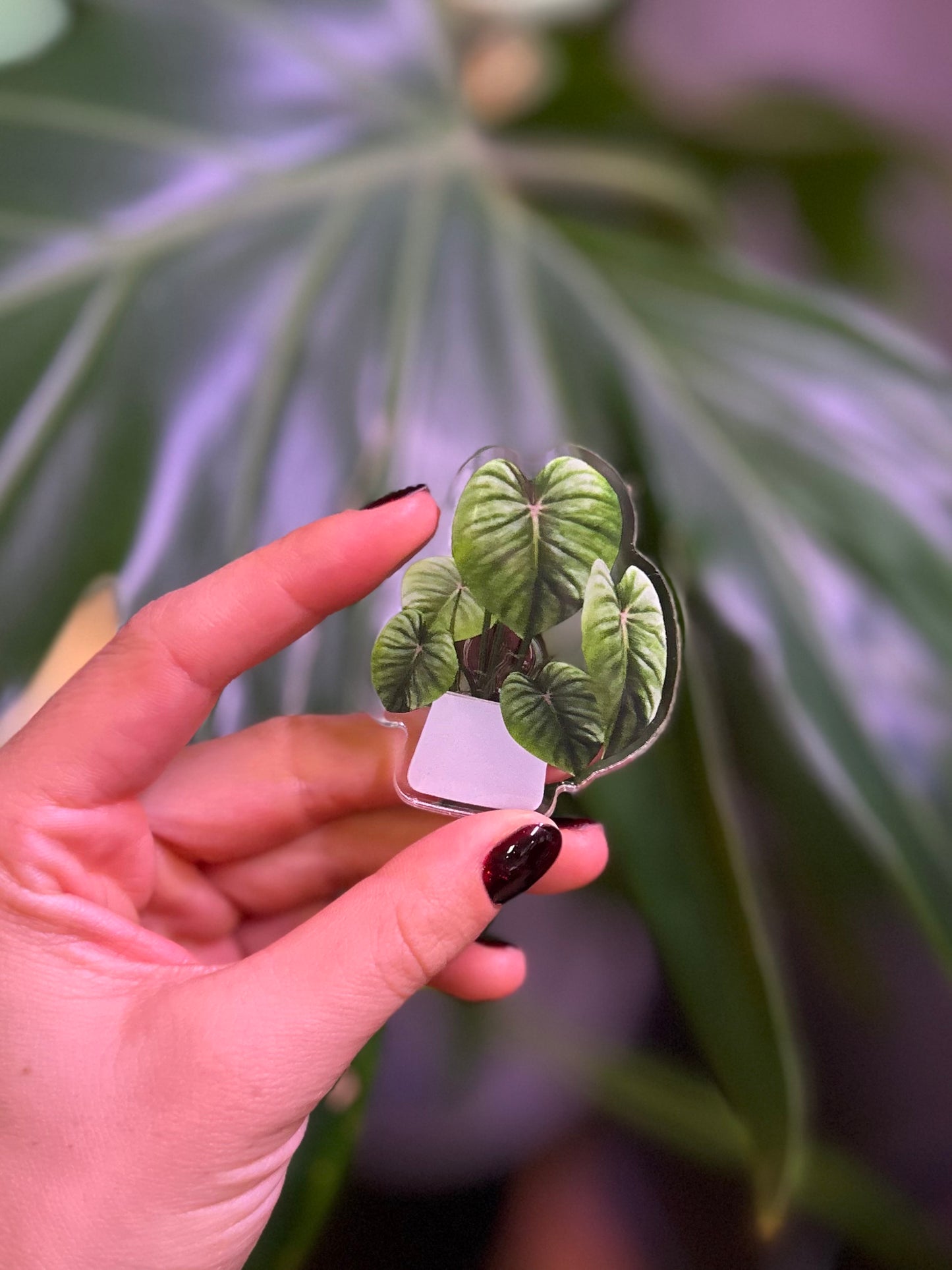 Imán plantero 5x6 cm