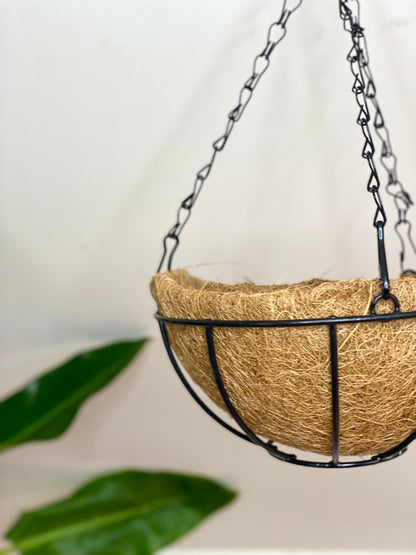 Maceta colgante de fibra de coco