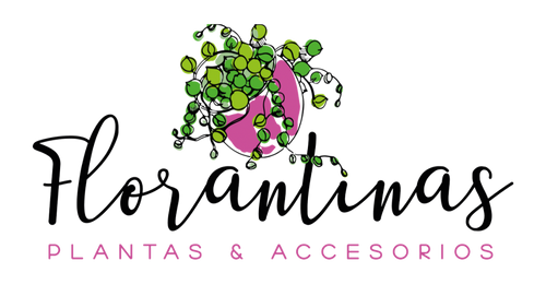 Florantinas