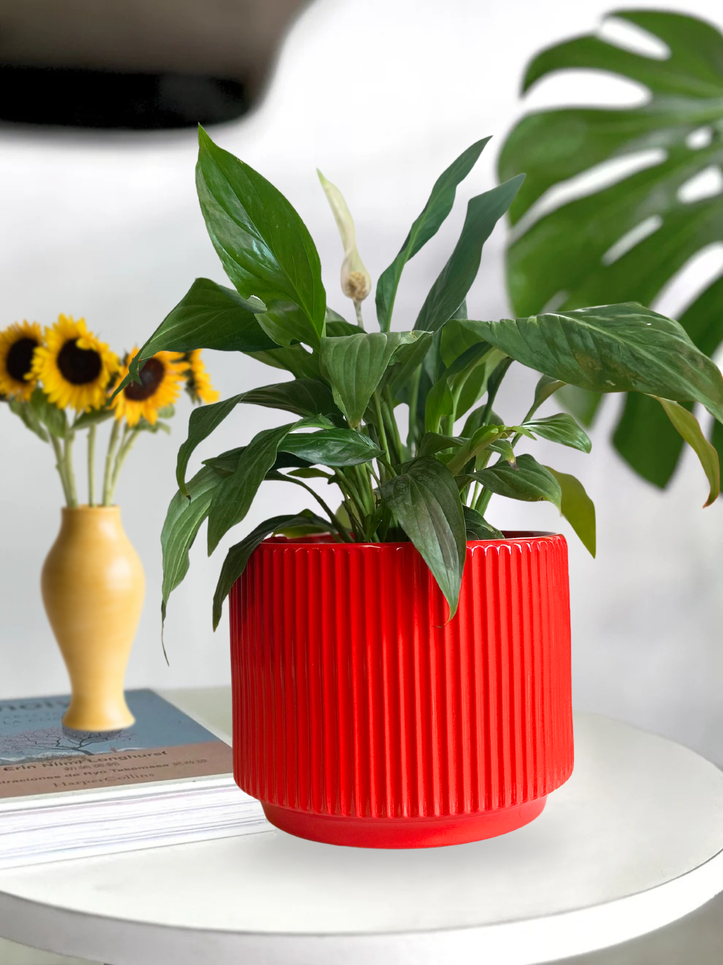 Macetero ceramica rojo 20x16 cm