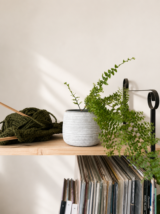 Macetero de cerámica para plantas de interior tropicales y decoración botánica.