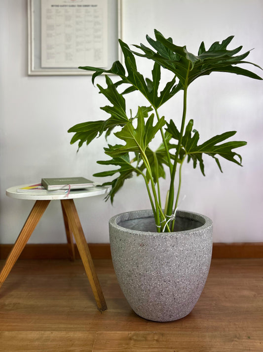 Macetero terrazzo redondo gris de cerámica, diseño moderno moteado ideal para plantas de interior