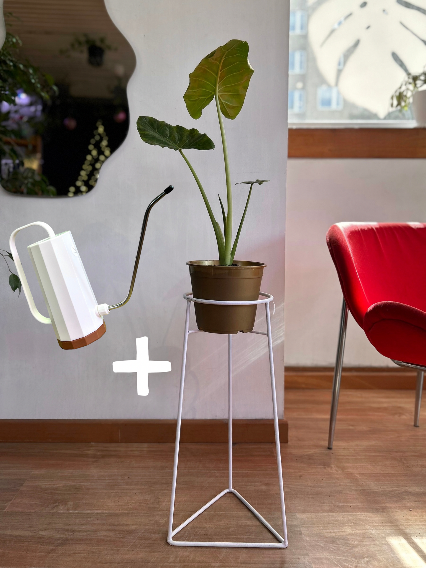 Pack de planta de interior con pedestal incluido, ideal para elevar la decoración y dar protagonismo a tus espacios. Perfecto para living, dormitorio u oficina, combinando diseño y naturaleza en un solo conjunto.