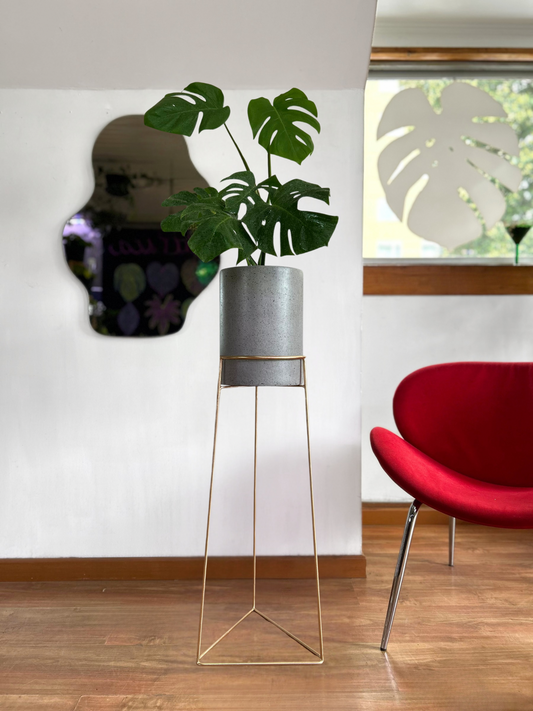 Pack de planta de interior con pedestal incluido, ideal para elevar la decoración y dar protagonismo a tus espacios. Perfecto para living, dormitorio u oficina, combinando diseño y naturaleza en un solo conjunto.