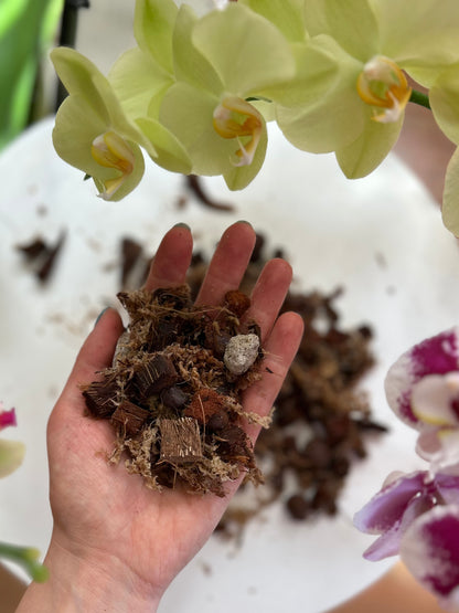 Sustrato premium para orquídeas, mezcla aireada y drenante que favorece raíces sanas y floración abundante