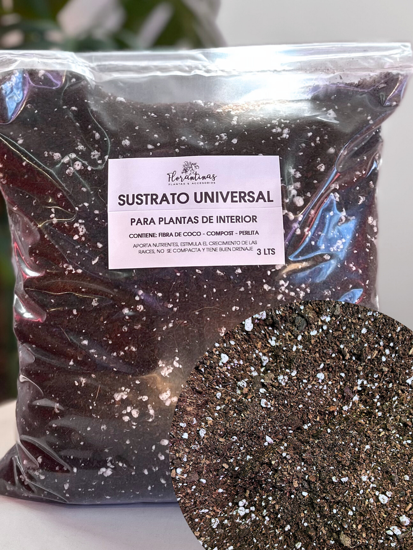 Sustrato para plantas de interior en macetero