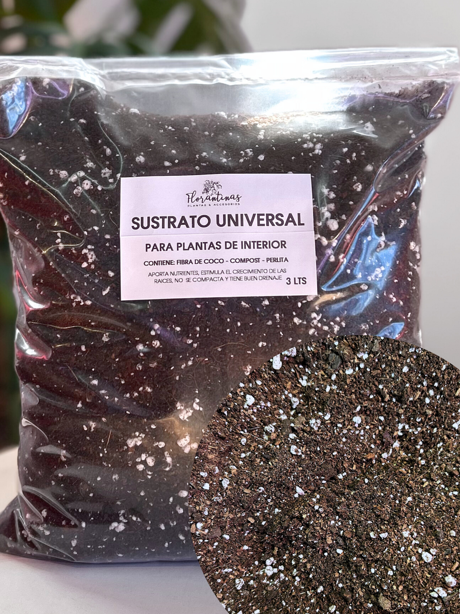 Sustrato para plantas de interior en macetero