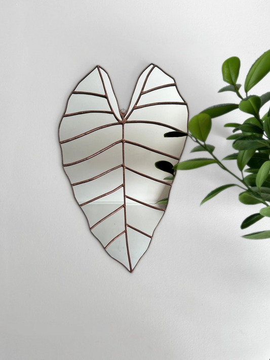 Espejo De Hoja De Alocasia Macrorrhiza M