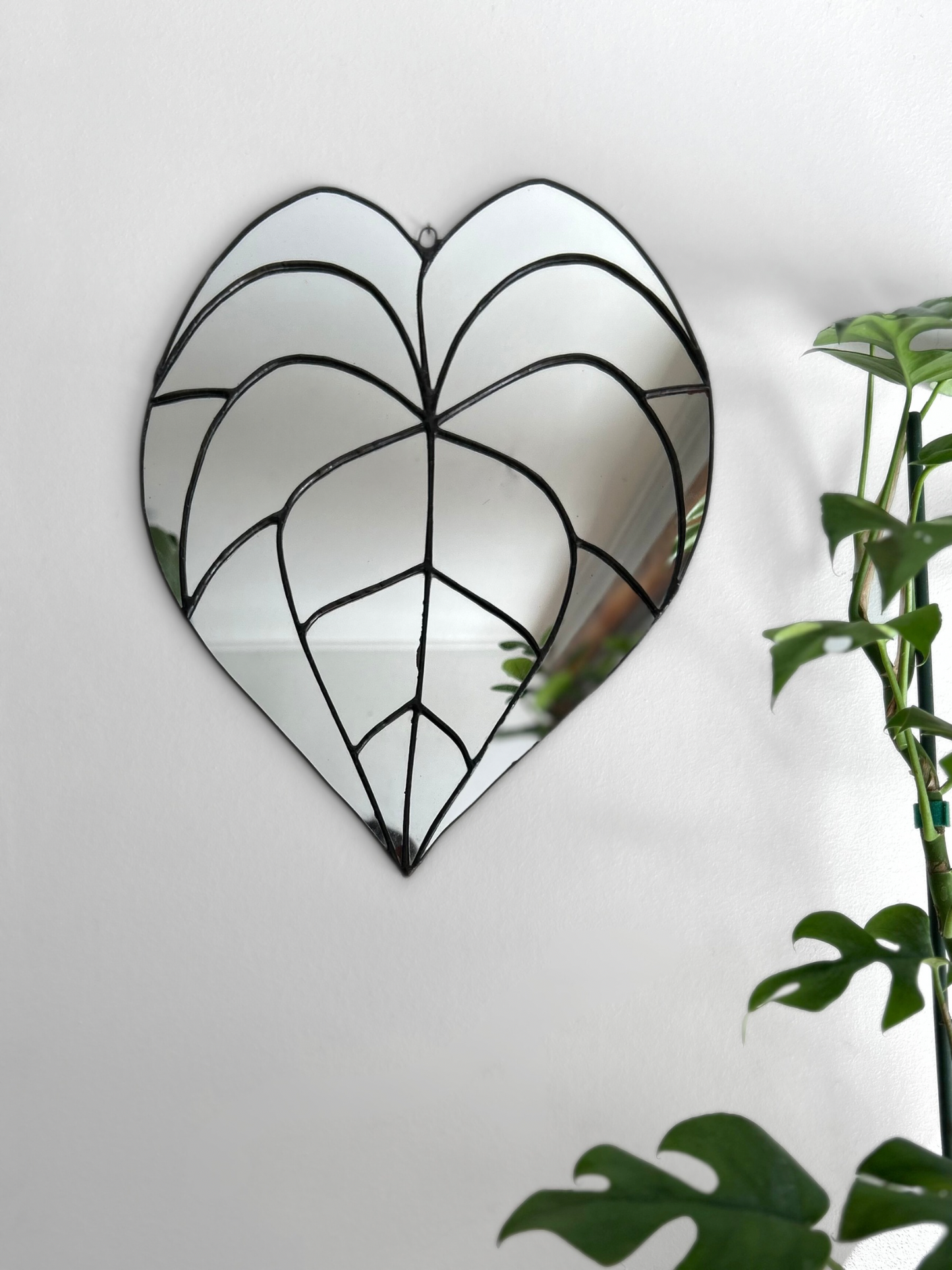 Espejo De Hoja De Anthurium Clarinervium M