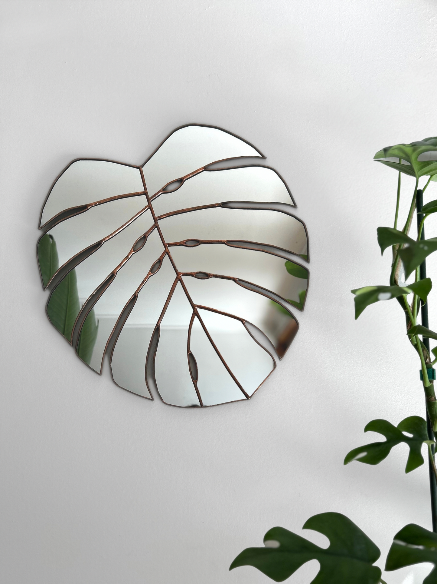 Espejo De Hoja De Monstera Deliciosa M