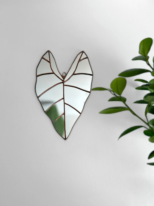 Espejo De Hoja De Alocasia Macrorrhiza