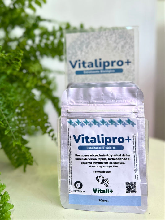 Promueve el crecimiento de raíces de tus plantas y fortalece su sistema inmune